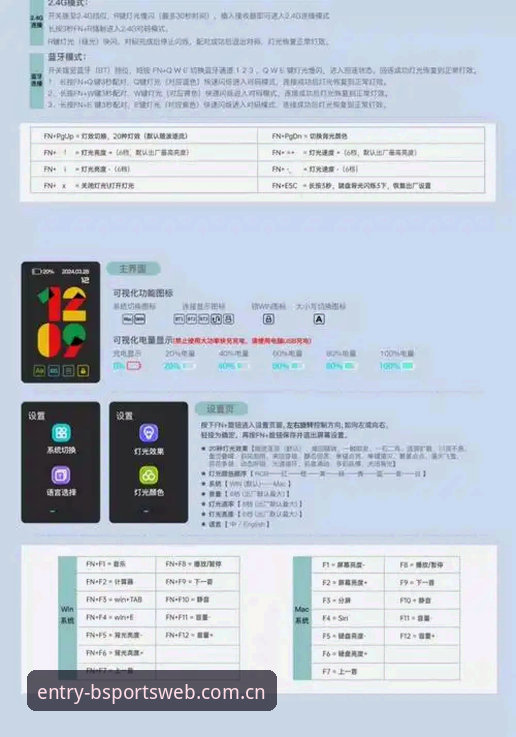 bsports 2025版本安卓版使用详解与亲身体验分享